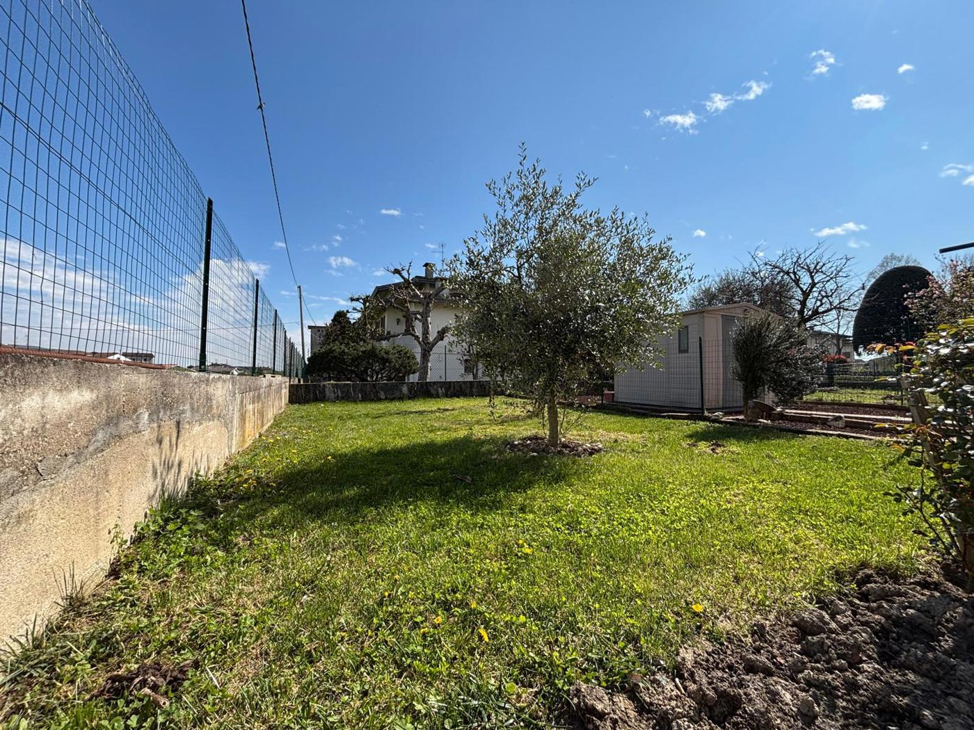 immagine annuncio 2 di 10