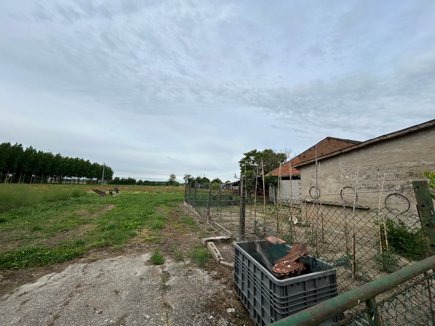 immagine annuncio 9 di 10