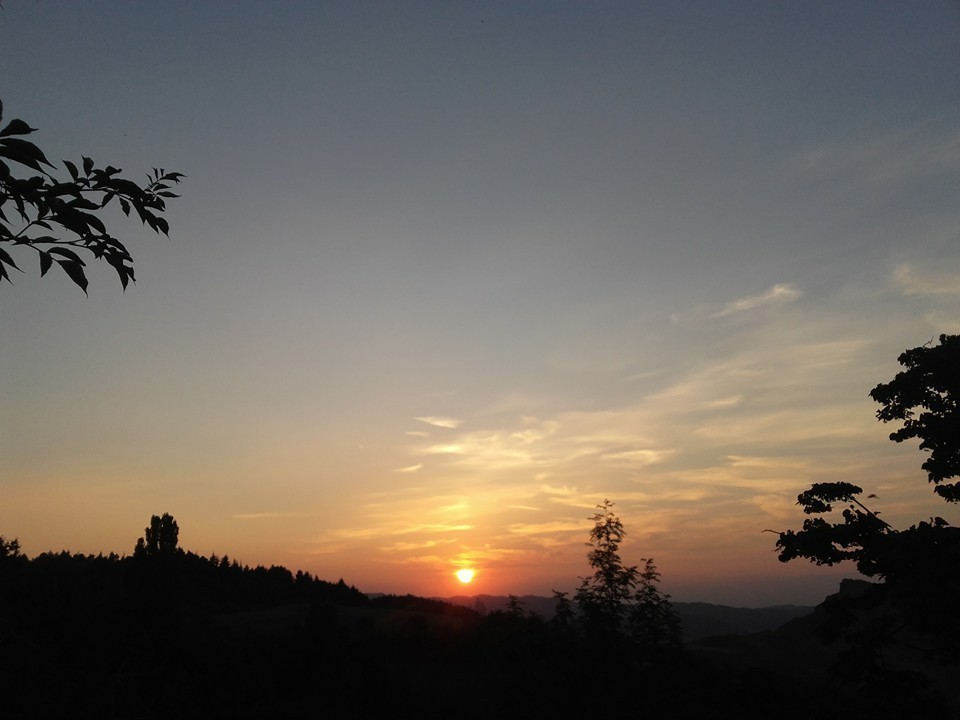 immagine annuncio 2 di 8