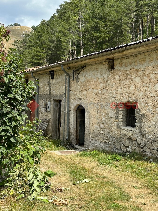 immagine annuncio 1 di 7