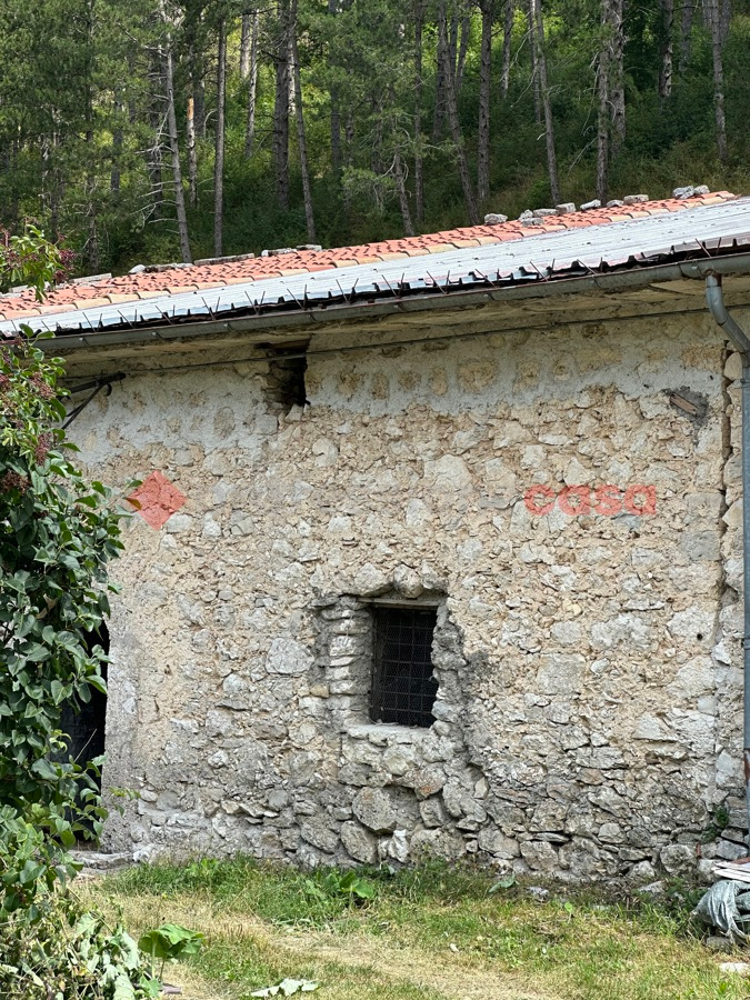 immagine annuncio 4 di 7