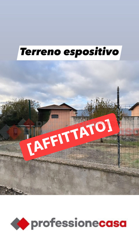 immagine annuncio 5 di 6