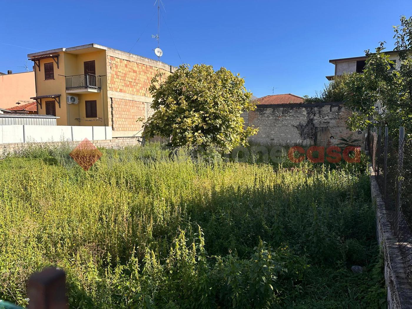 immagine annuncio 4 di 7