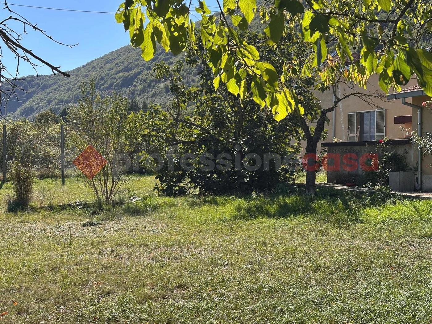 immagine annuncio 5 di 8