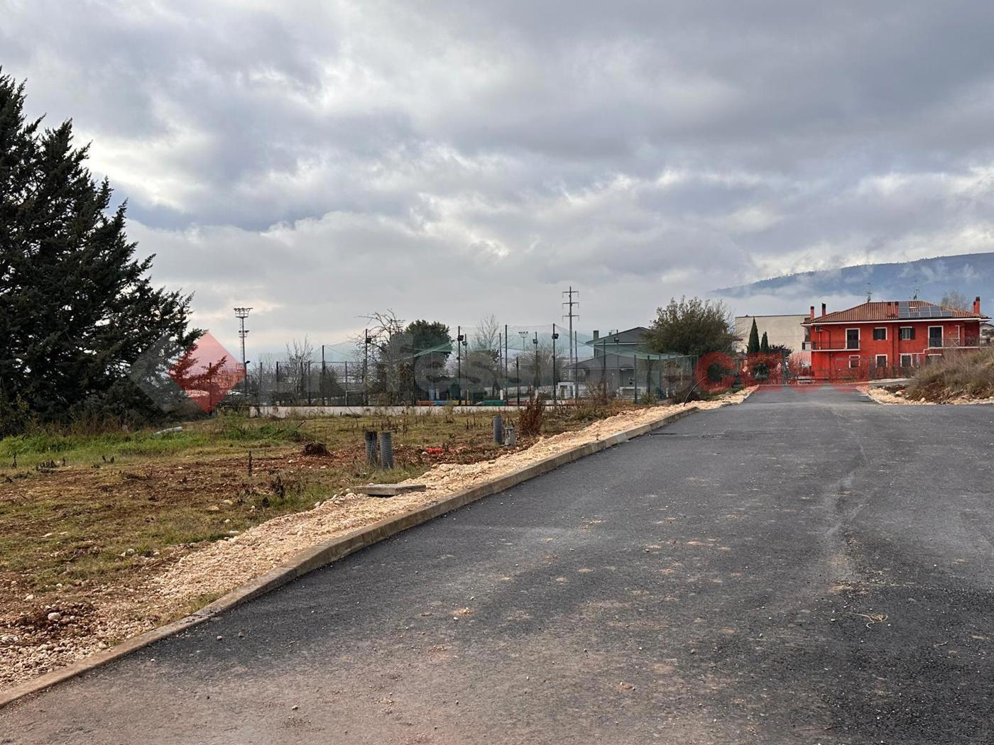 immagine annuncio 2 di 4