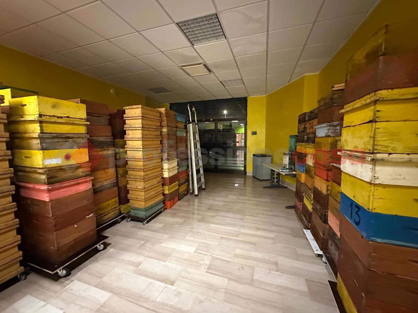 immagine annuncio 3 di 9