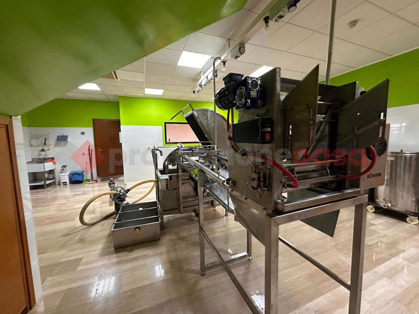 immagine annuncio 5 di 9