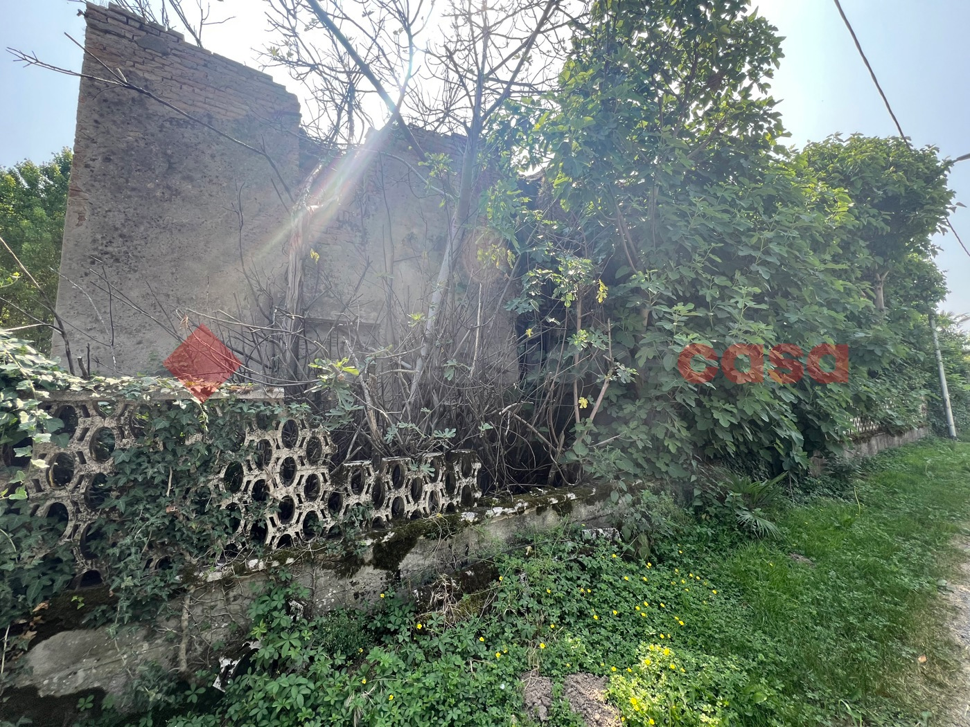 immagine annuncio 2 di 3