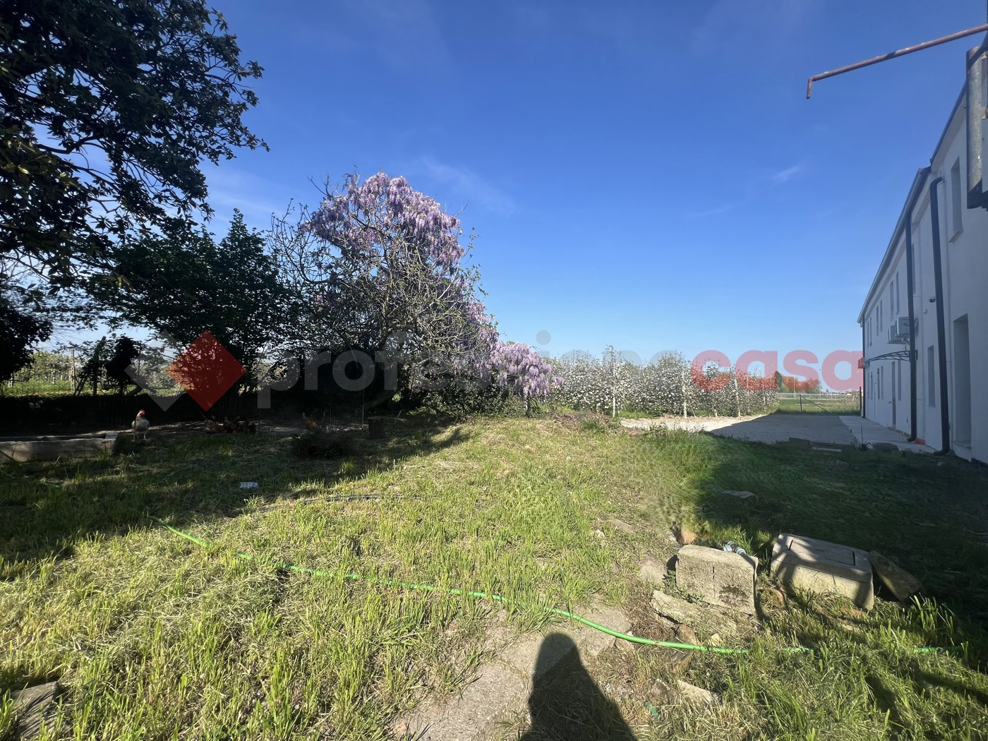 immagine annuncio 4 di 8