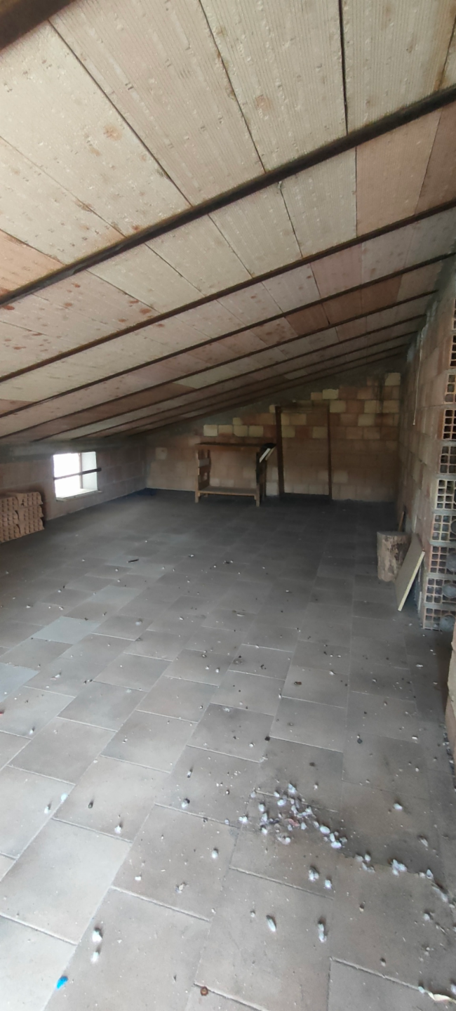 immagine annuncio 5 di 6