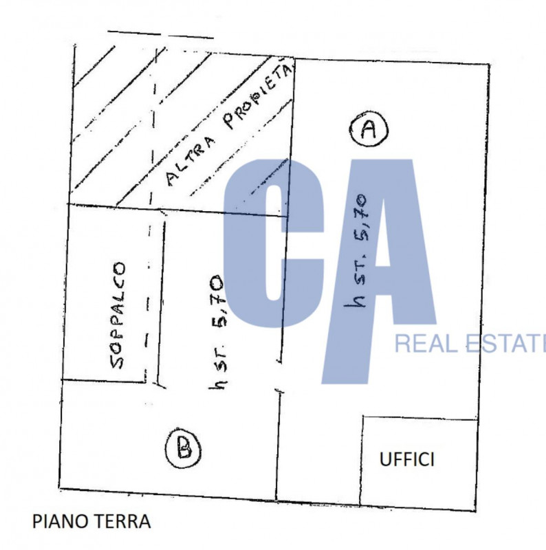 immagine annuncio 6 di 10