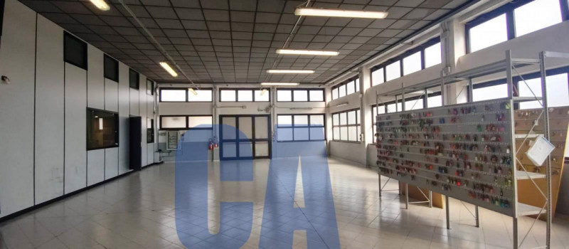 immagine annuncio 3 di 10