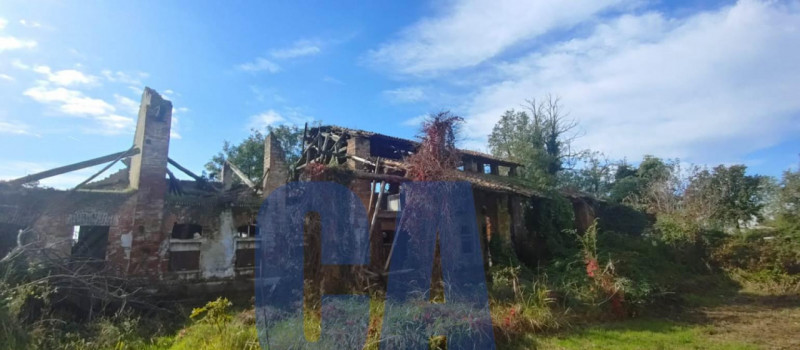 immagine annuncio 4 di 6