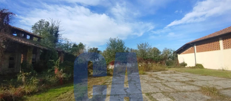 immagine annuncio 5 di 6