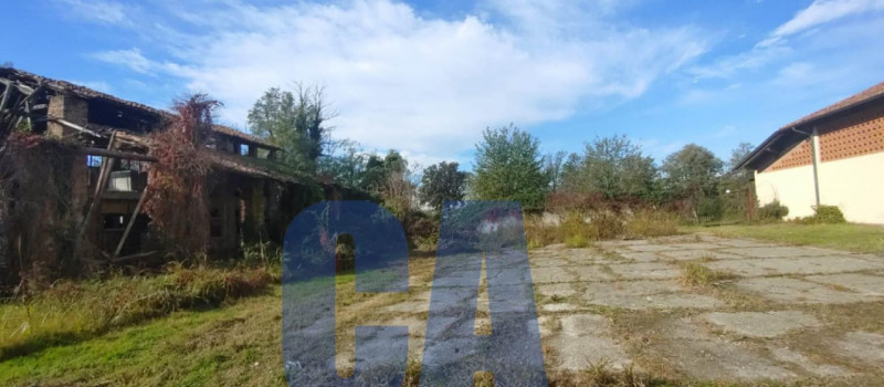 immagine annuncio 4 di 6