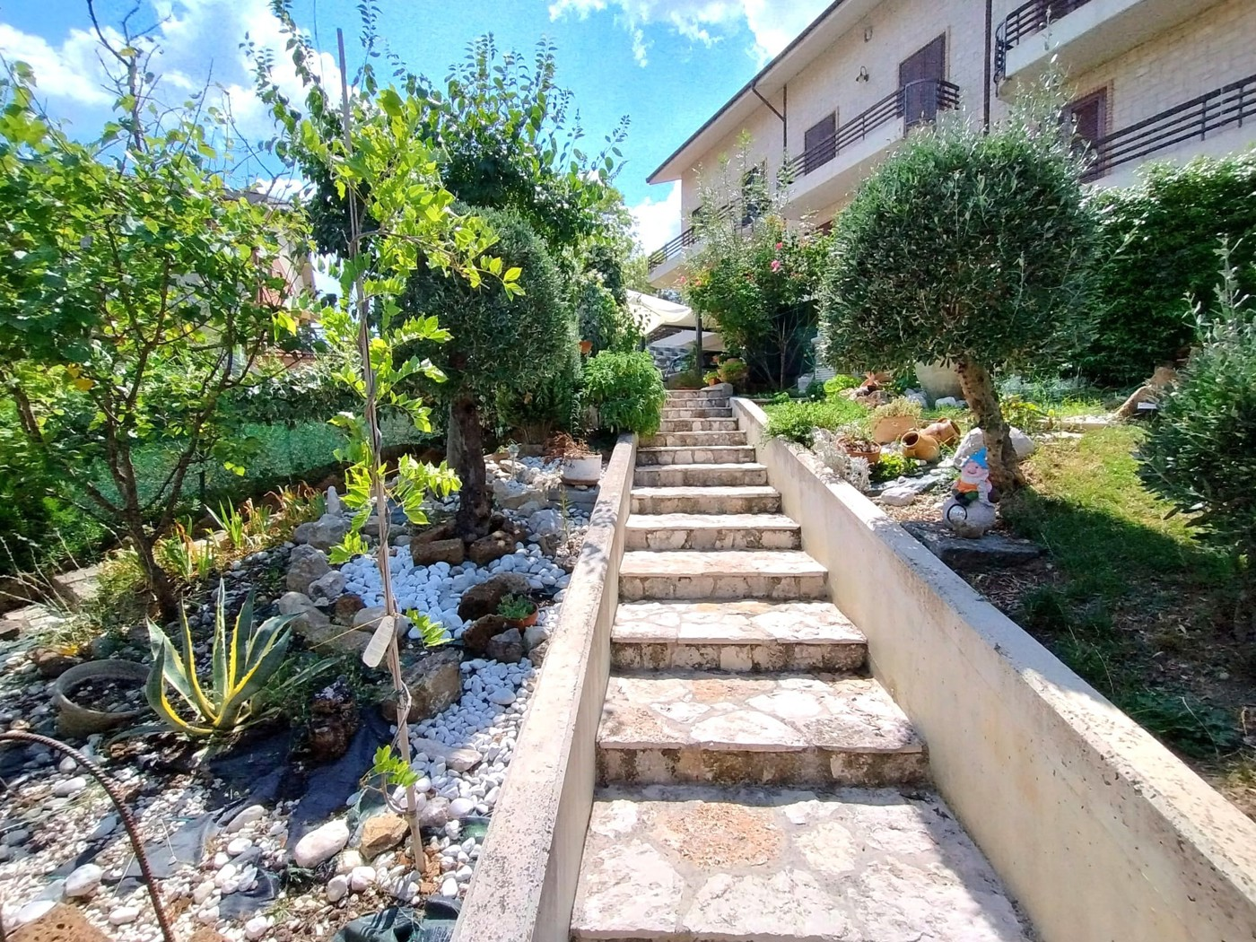 immagine annuncio 4 di 10