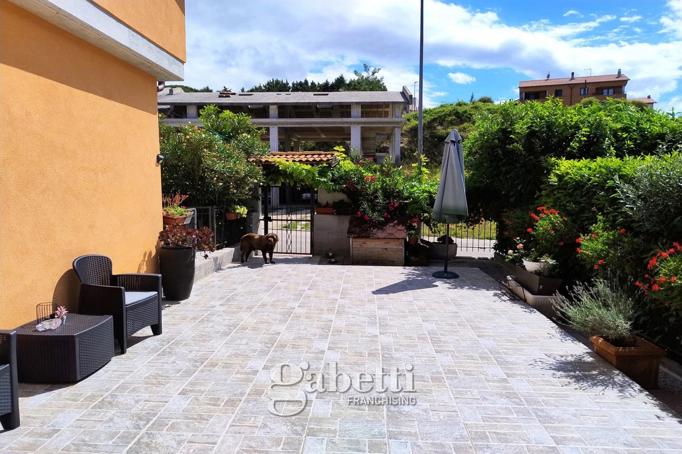 immagine annuncio 2 di 10