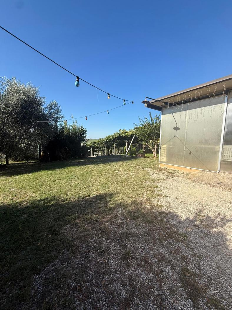 immagine annuncio 1 di 6