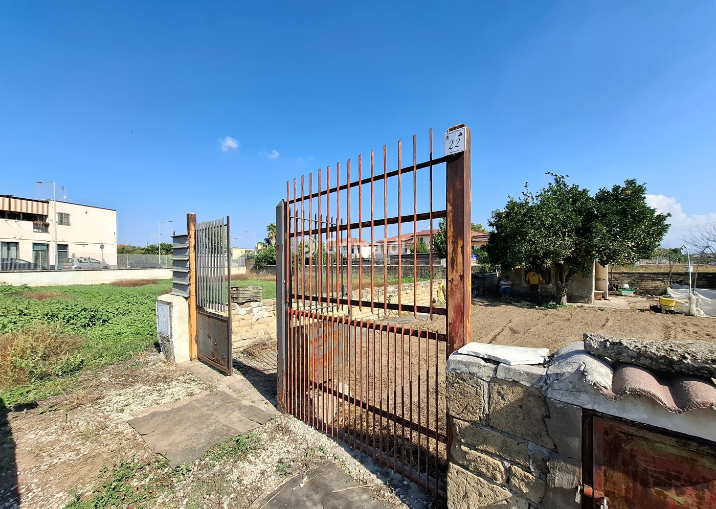 immagine annuncio 1 di 10