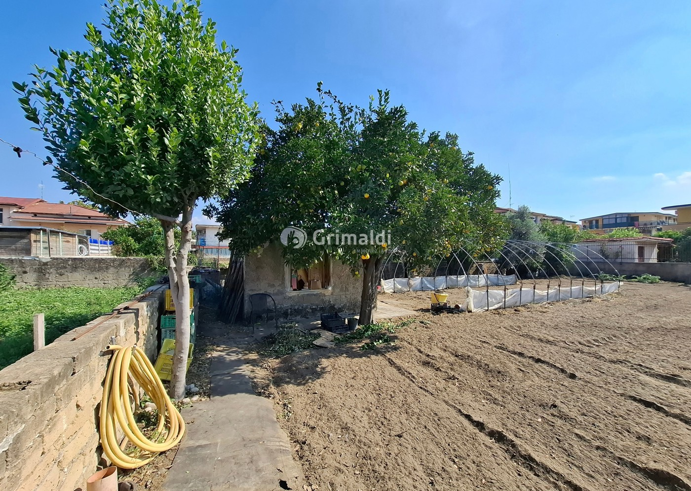 immagine annuncio 6 di 10