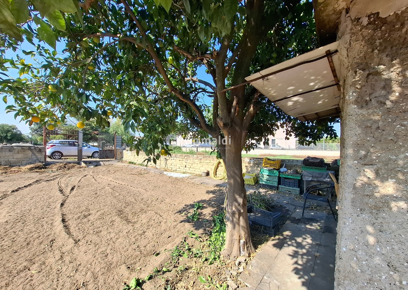 immagine annuncio 8 di 10