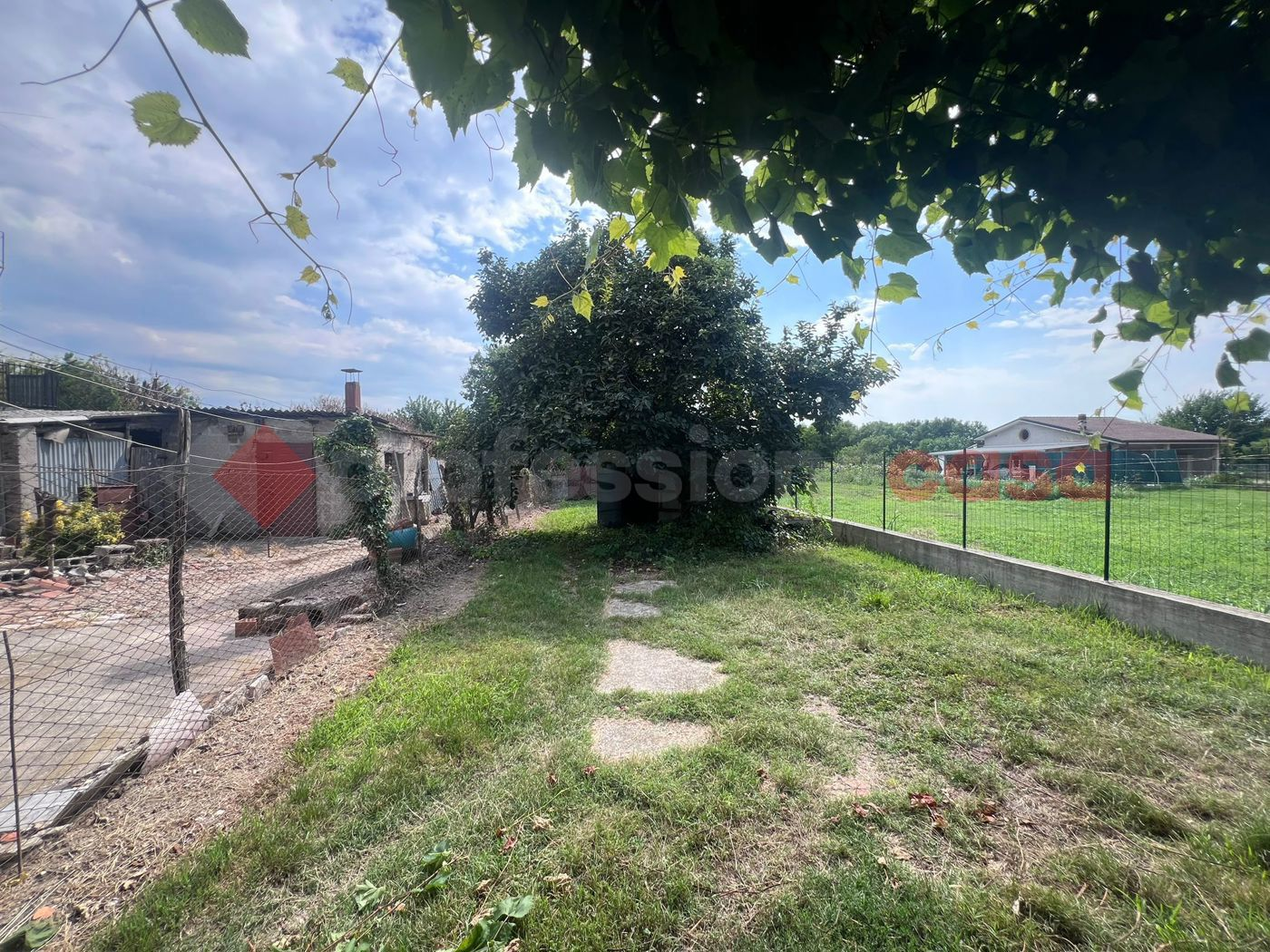 immagine annuncio 4 di 7