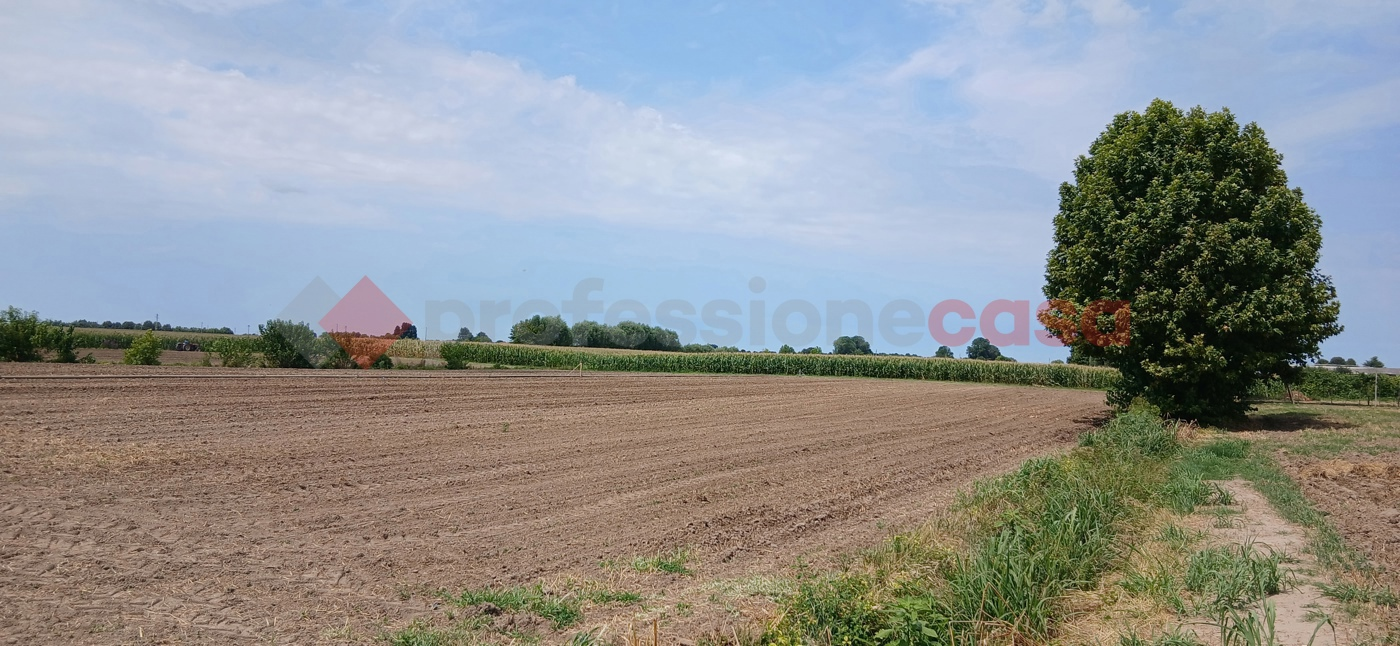 immagine annuncio 4 di 6