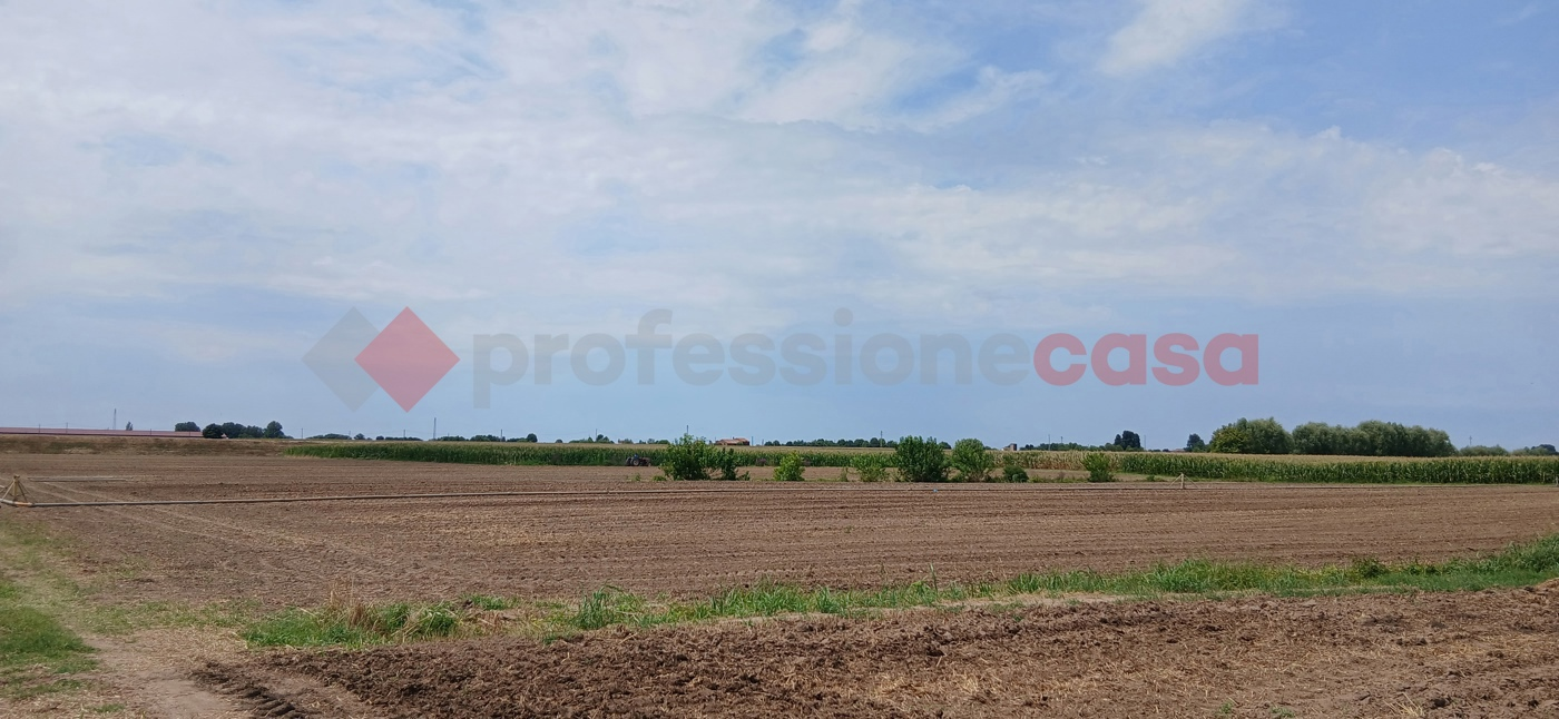 immagine annuncio 1 di 8