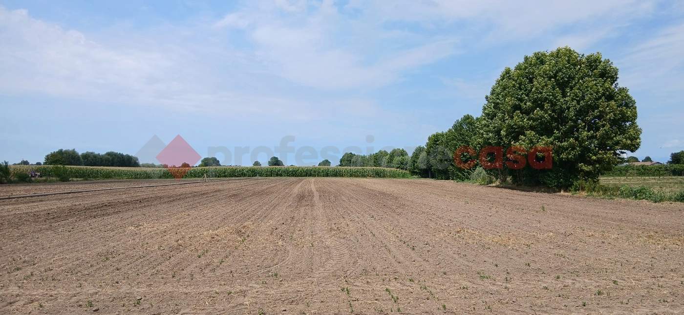 immagine annuncio 6 di 8