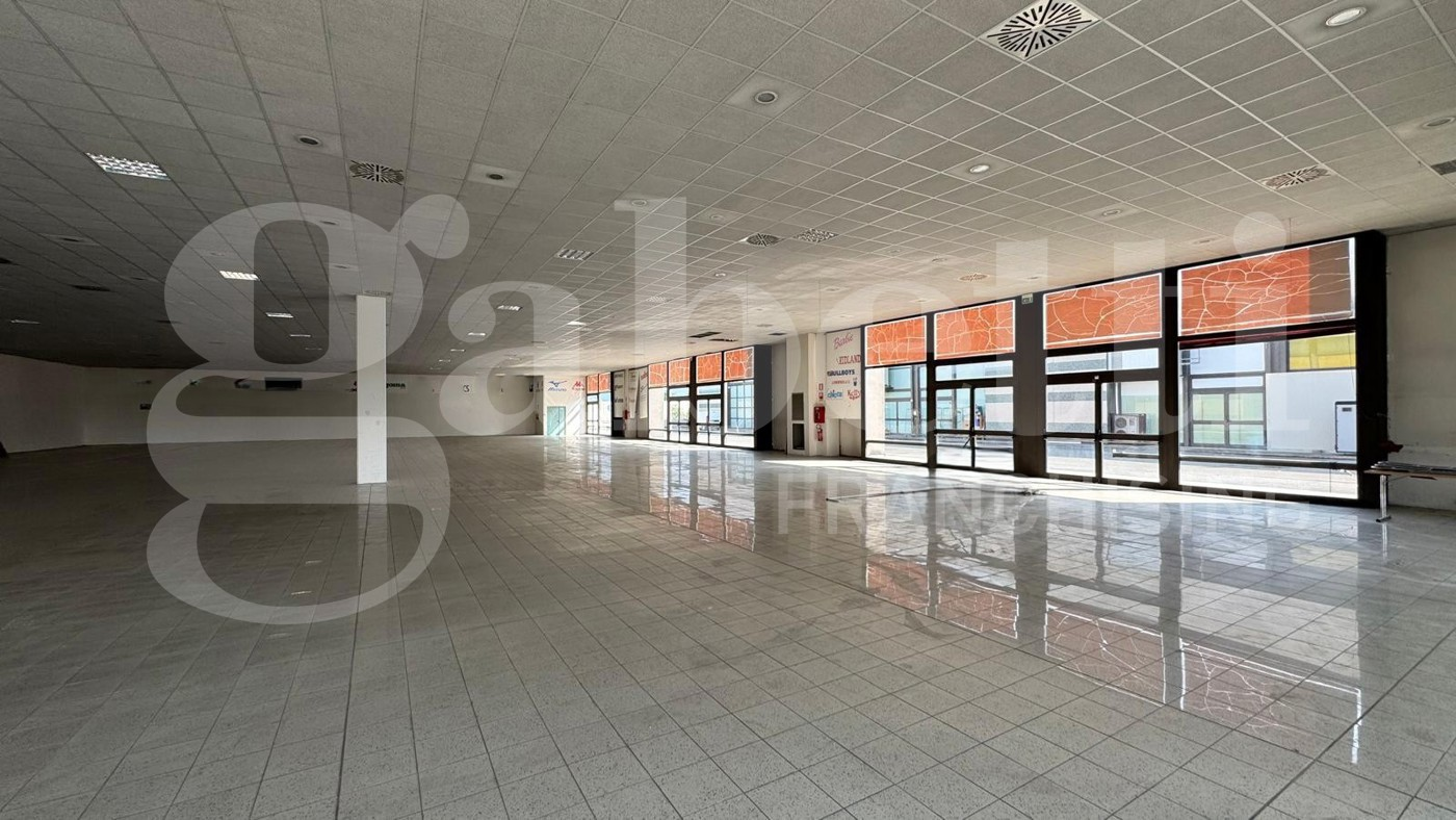 immagine annuncio 6 di 10