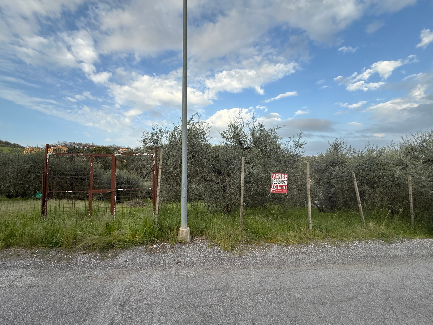 immagine annuncio 1 di 8