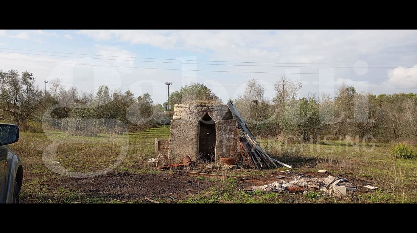 immagine annuncio 2 di 10