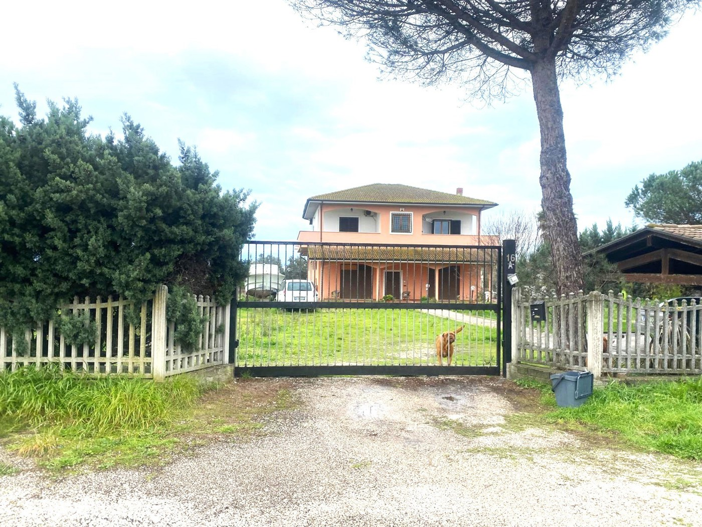 immagine annuncio 9 di 10