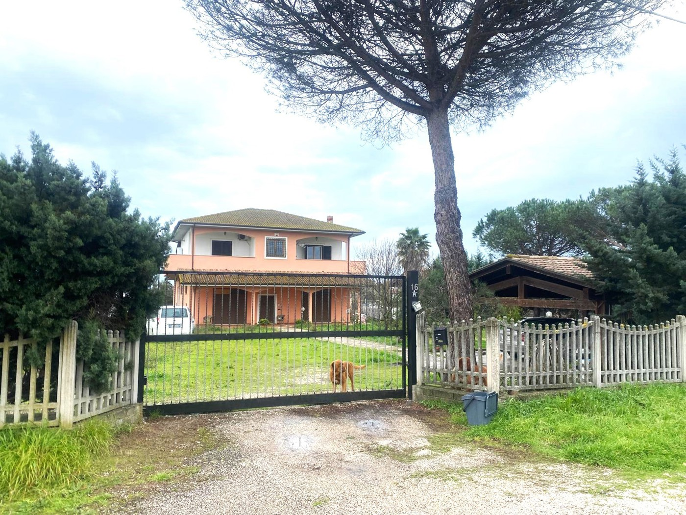 immagine annuncio 6 di 10