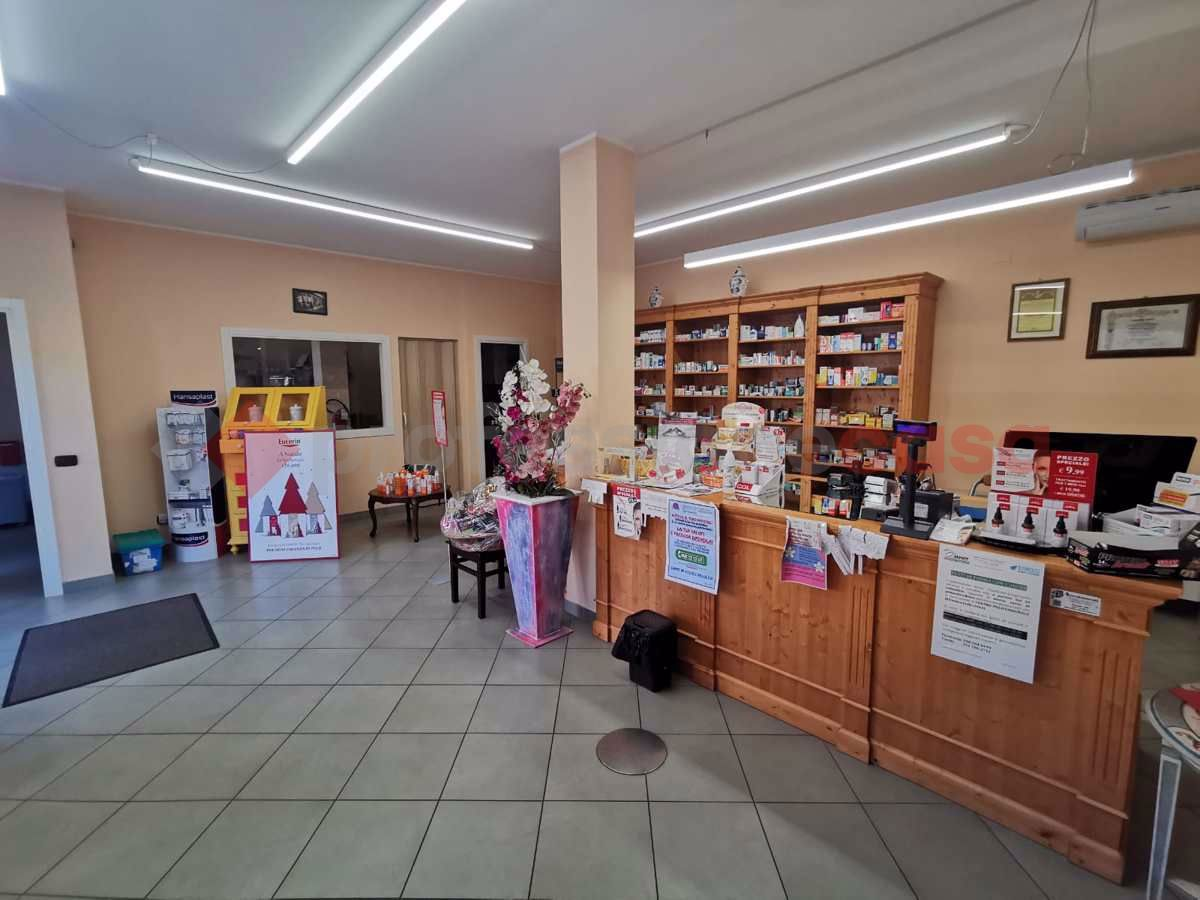 immagine annuncio 3 di 7