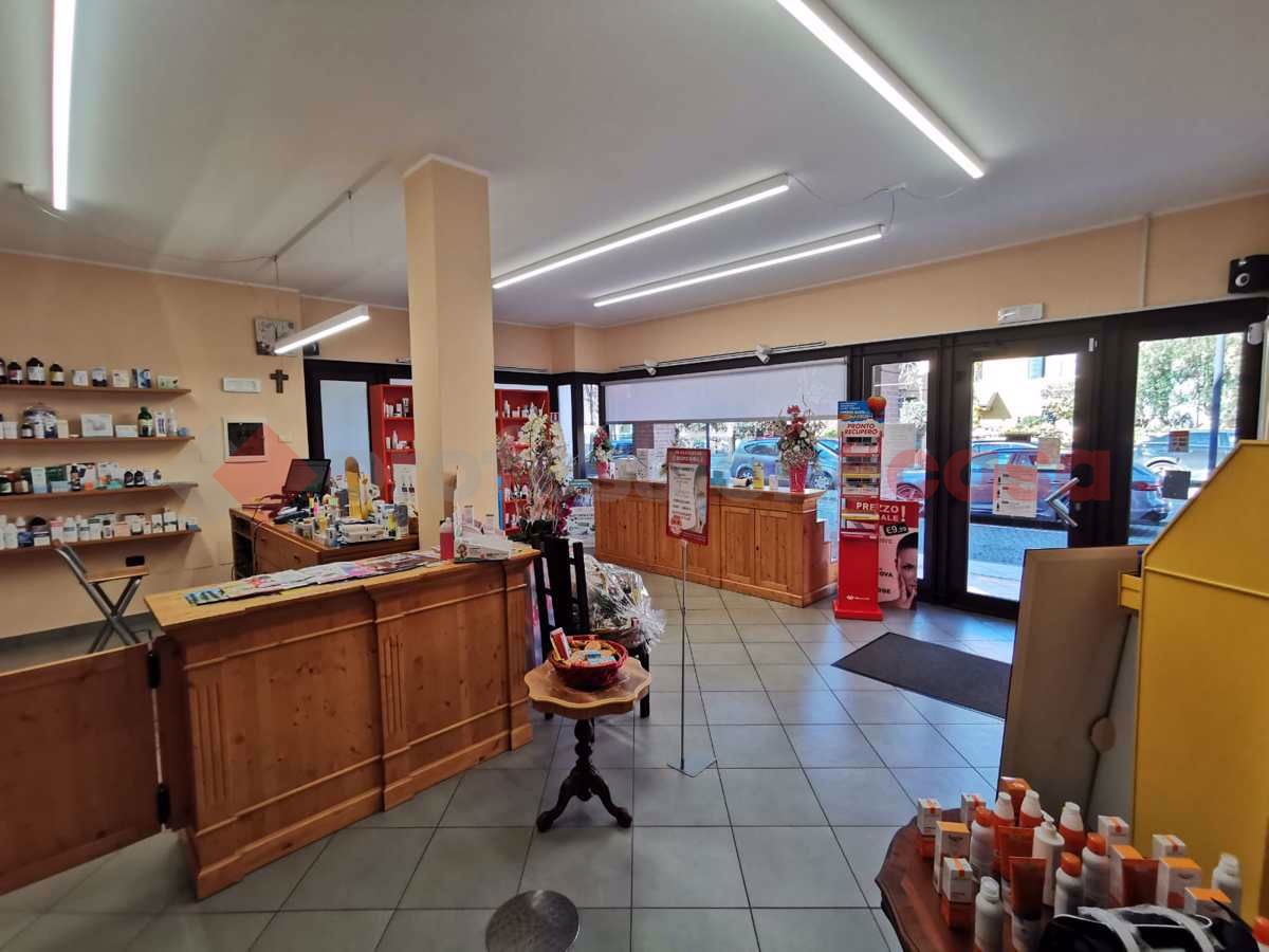 immagine annuncio 5 di 7