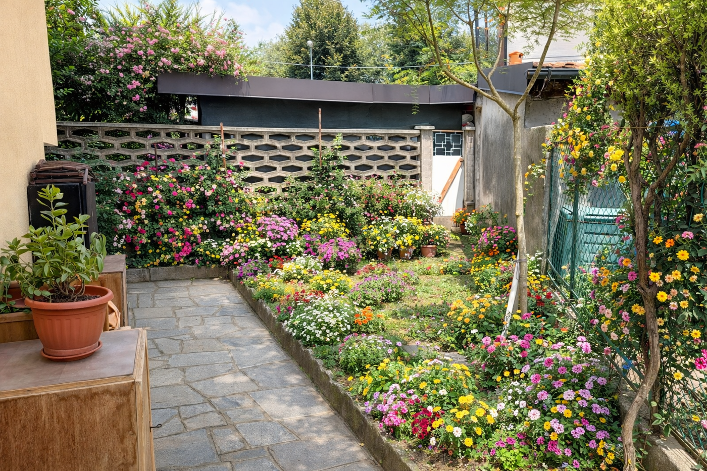 immagine annuncio 5 di 6