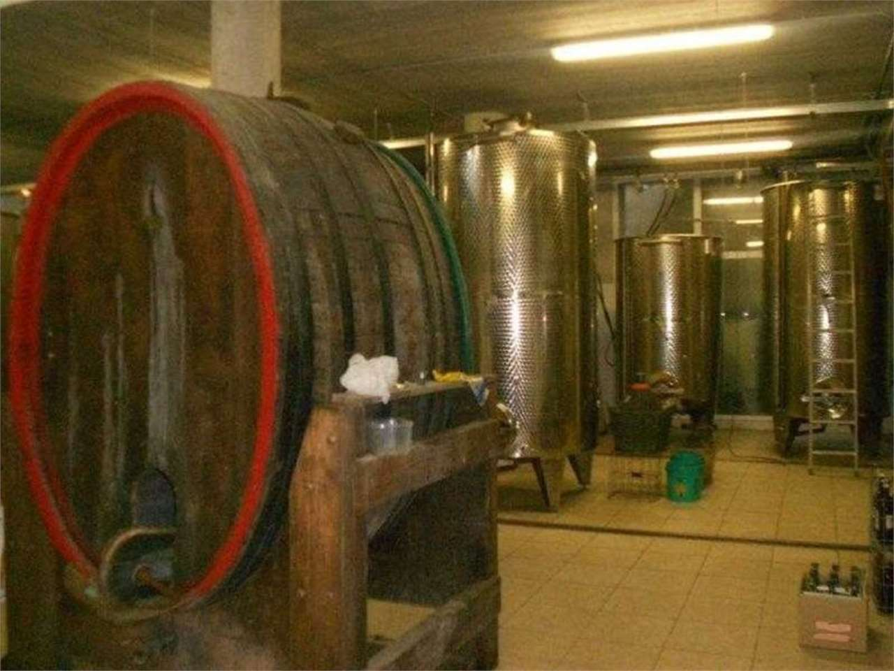 immagine annuncio 2 di 10