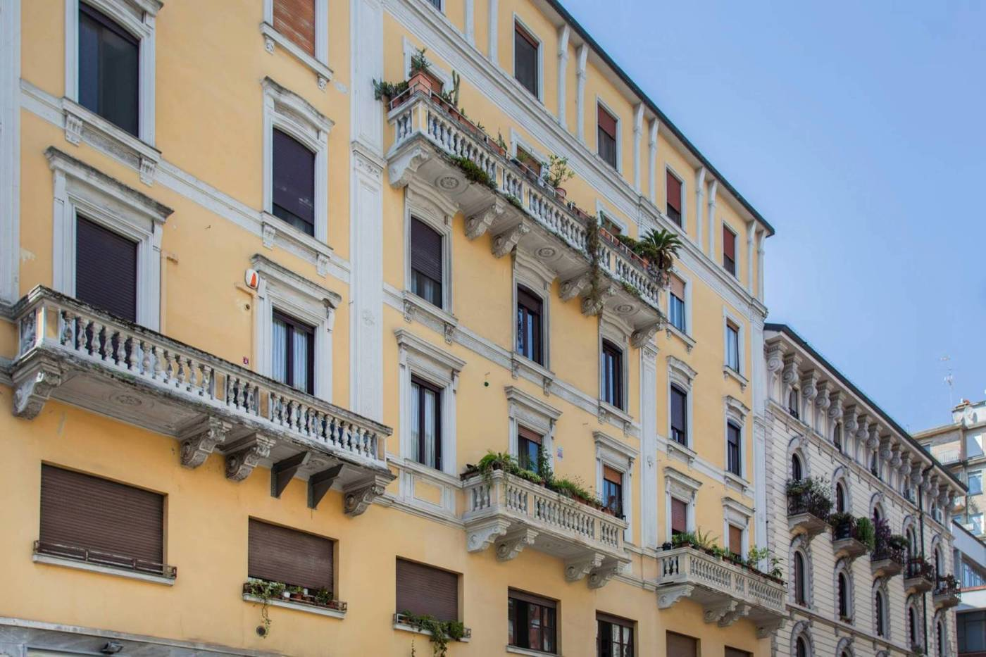 immagine annuncio 5 di 10