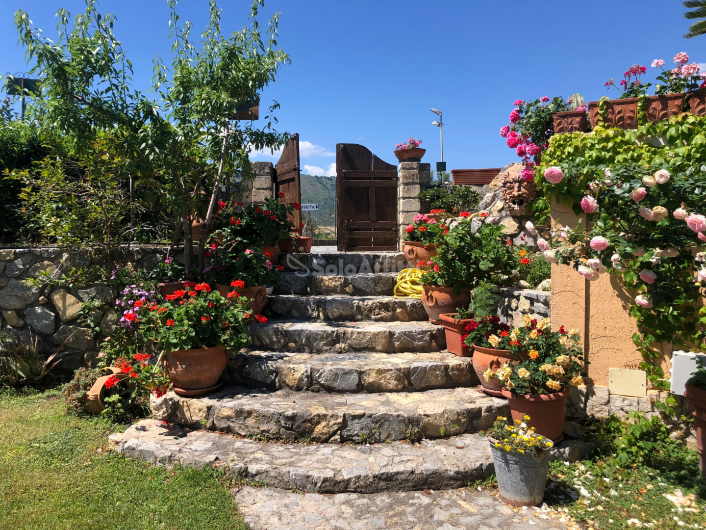 immagine annuncio 8 di 9