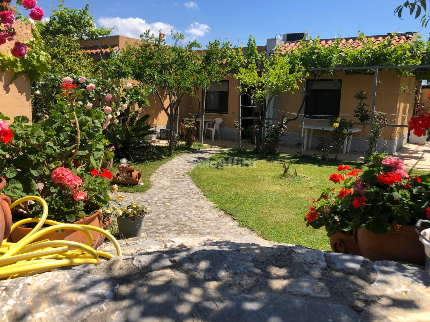 immagine annuncio 7 di 9