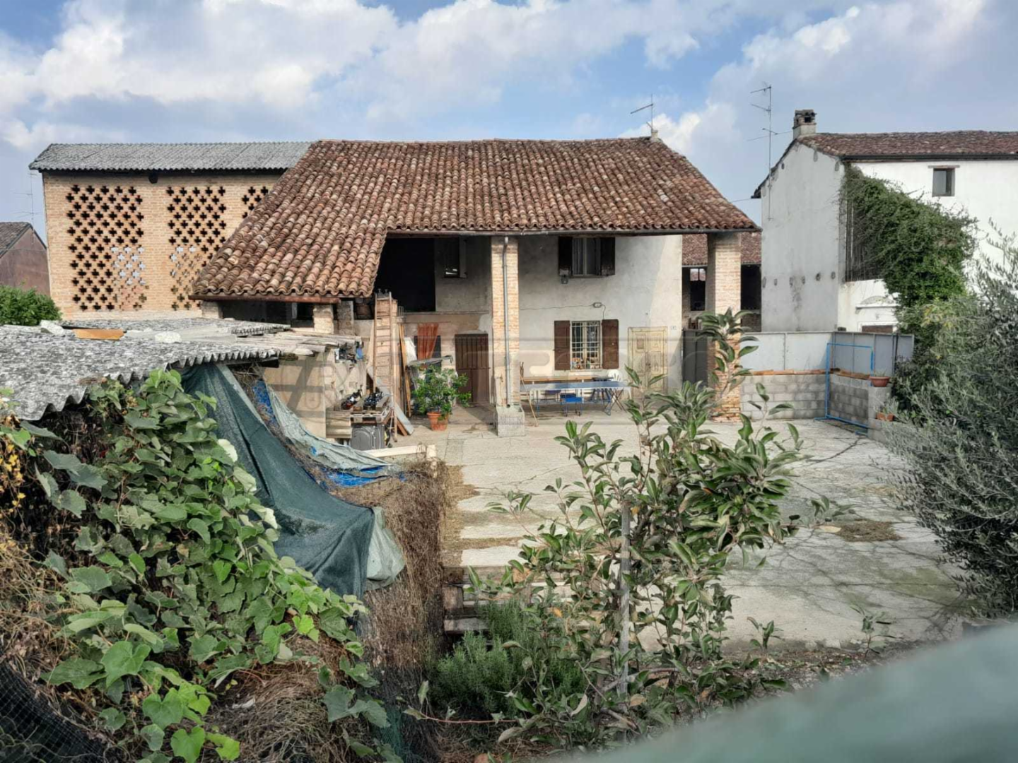 immagine annuncio 1 di 10