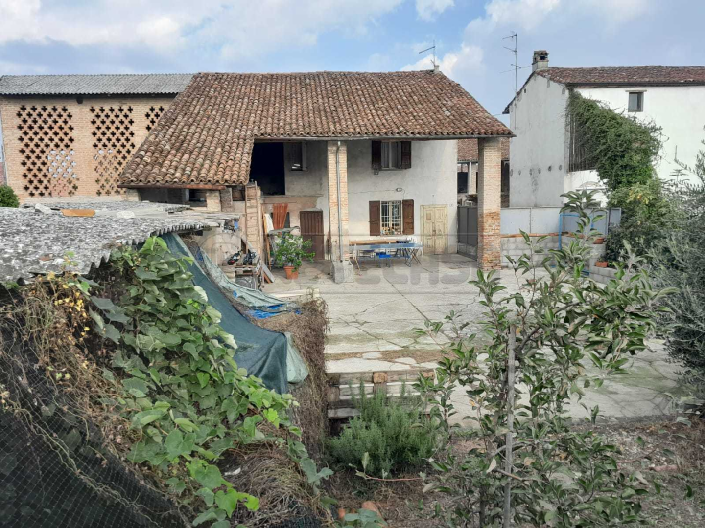 immagine annuncio 5 di 10