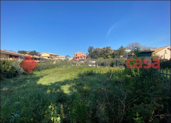 immagine annuncio 6 di 9