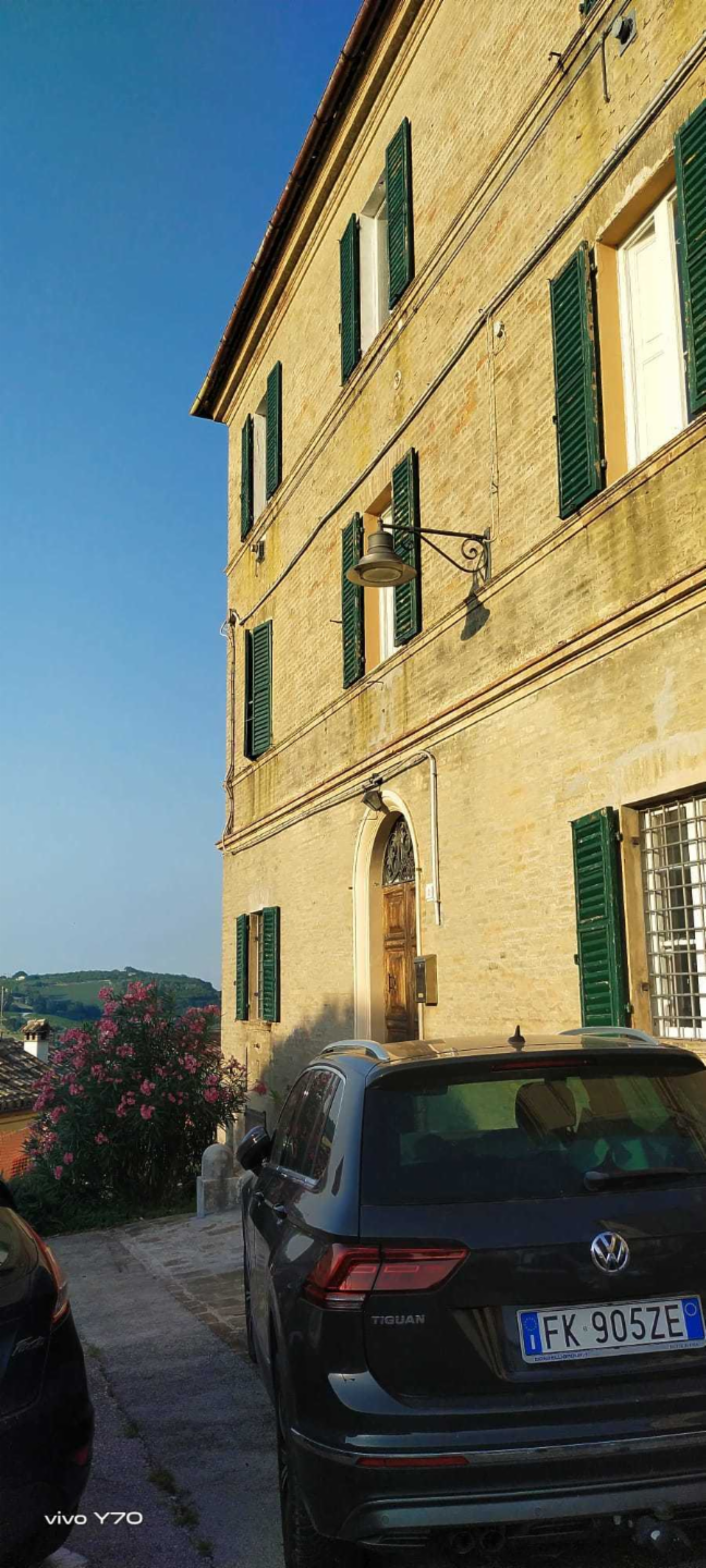 immagine annuncio 3 di 6