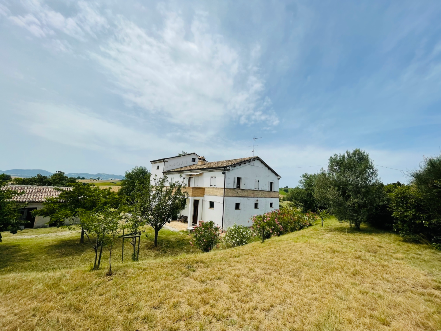 immagine annuncio 1 di 10