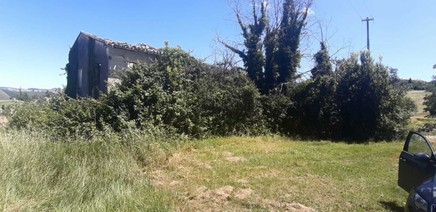 immagine annuncio 3 di 8