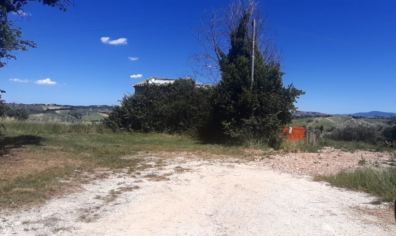 immagine annuncio 4 di 8