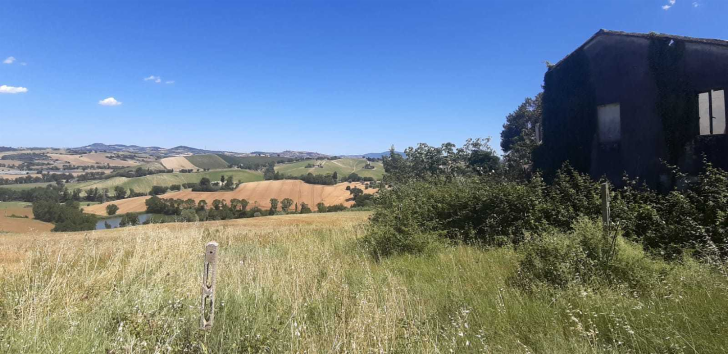 immagine annuncio 5 di 8