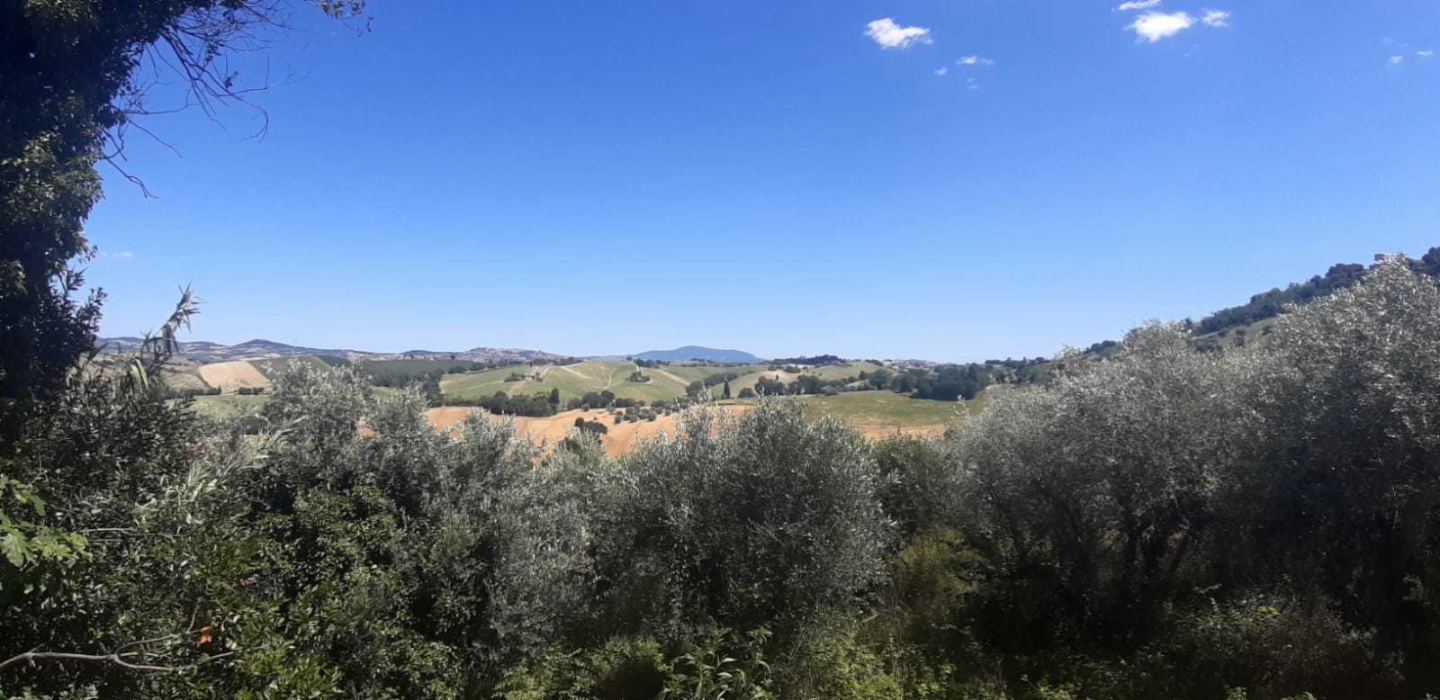 immagine annuncio 6 di 8